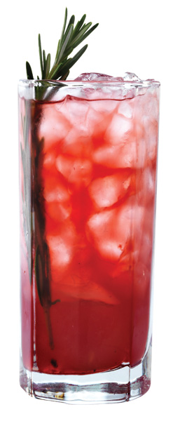 CRAN•BLUEBERRY COAST