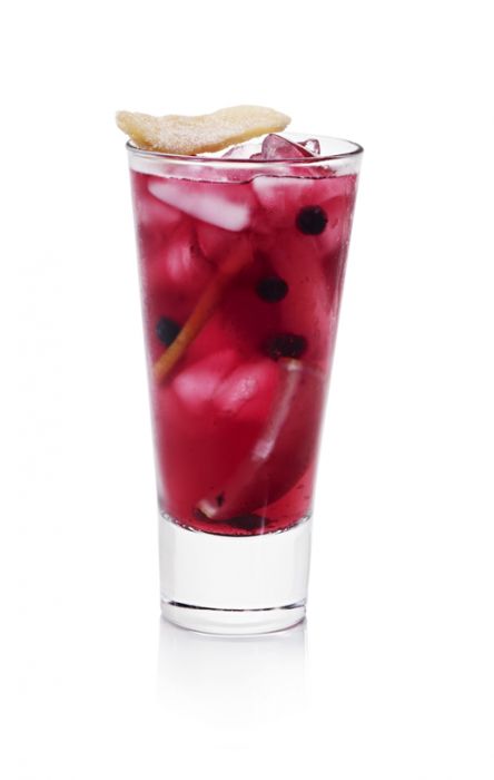 CRAN•BLUEBERRY MOJITO