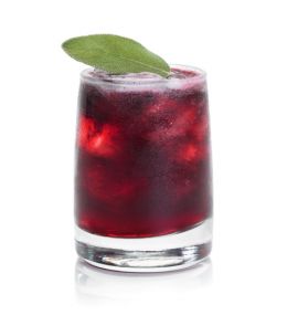 CRAN•BLUEBERRY FROST